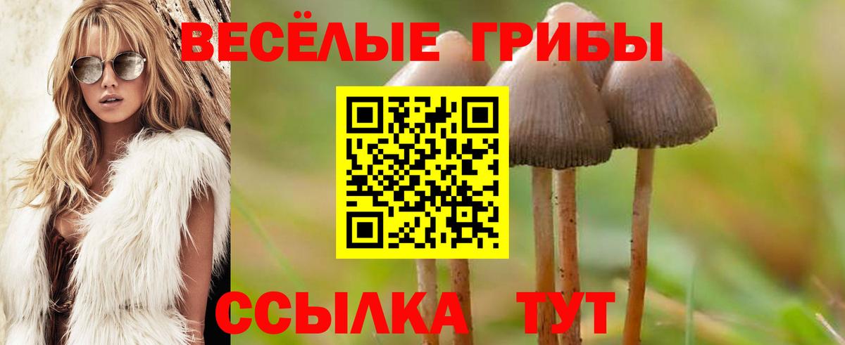 дарнет шоп  Галлюциногенные грибы GOLDEN TEACHER  Вход с VPN  Галлюциногенные грибы Psilocybe  Ростов Великий 
